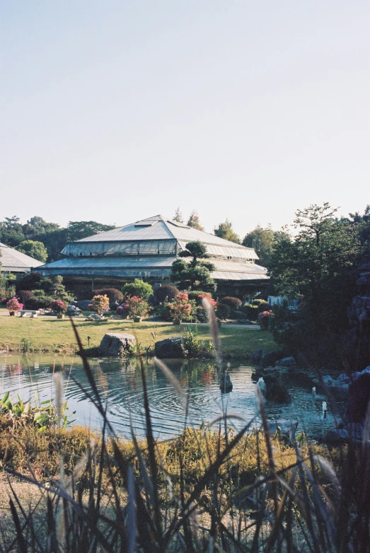 a pond sitting in front of a tall building