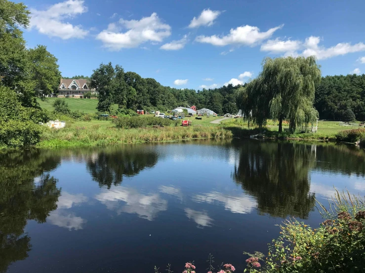 a lake is surrounded by trees and flowers