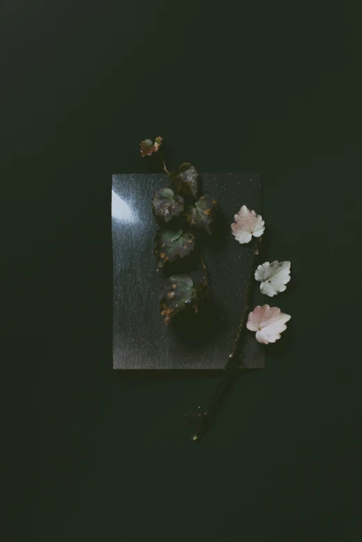 several flowers on a black napkin and a dark background