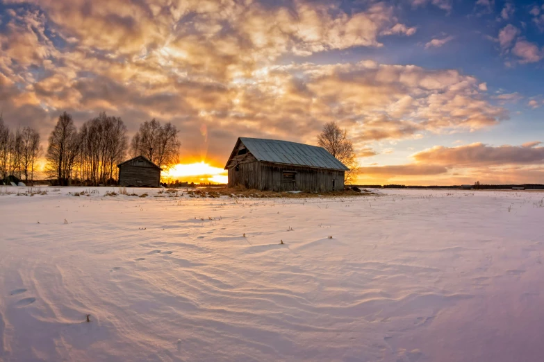 this is an image of a snowy field at sunset