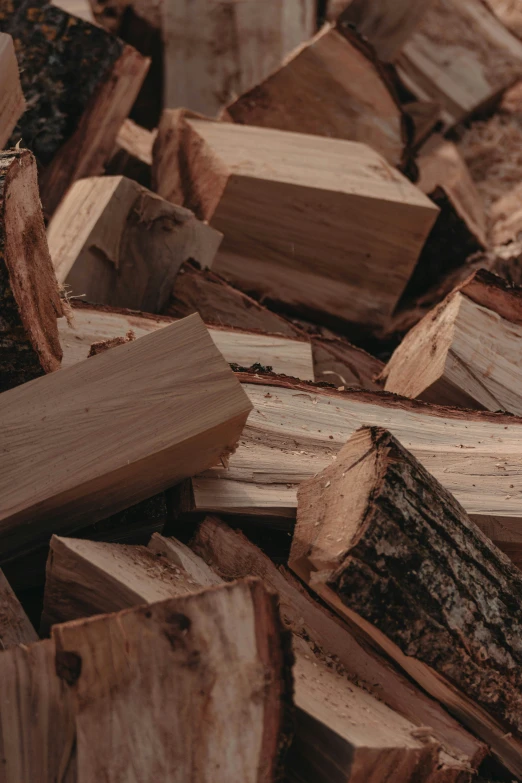 a bunch of wooden logs sitting in the dirt