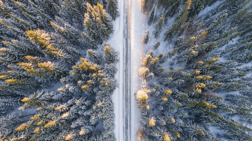 an overhead view of a car in the snow and trees