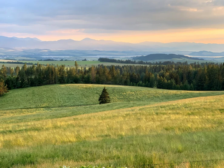 some trees and grass hills a sky and clouds