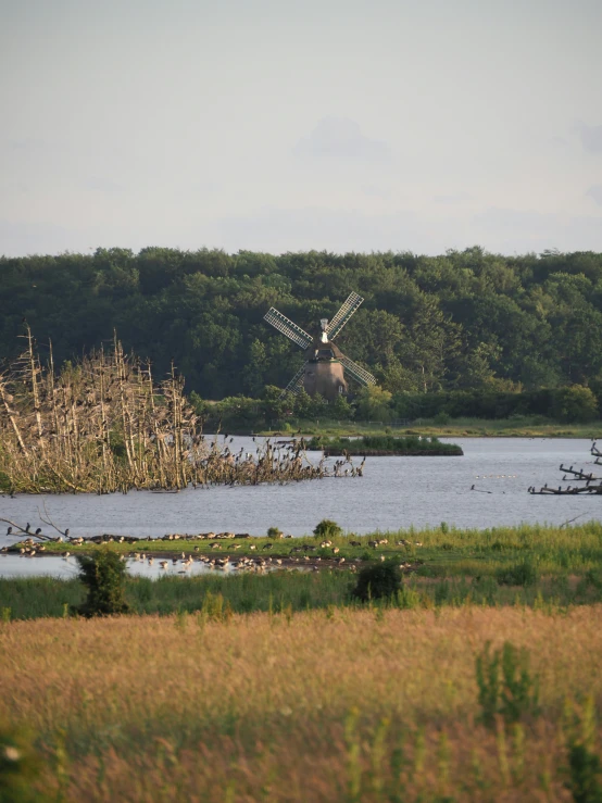 there is a river with windmills in the water