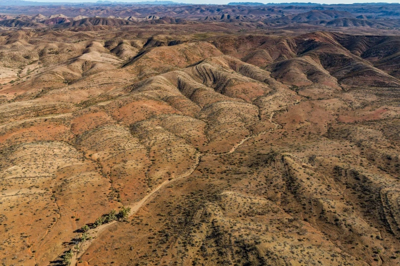 a desert mountain valley with lots of tree line