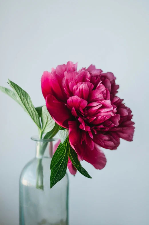 a flower is in a glass vase on the table