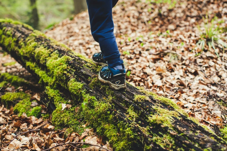 this is a close up s of a person in a forest