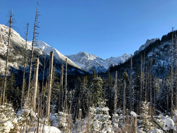 an image of a snowy mountain landscape