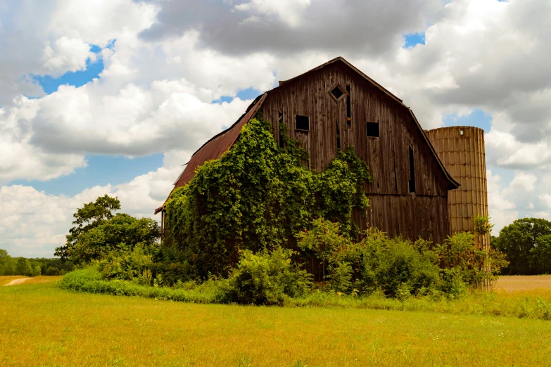 an abandoned barn next to trees in a field