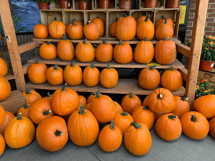 pumpkins are piled up on display at an outside market