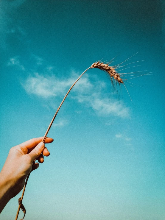 someone holding an object that looks like a stick