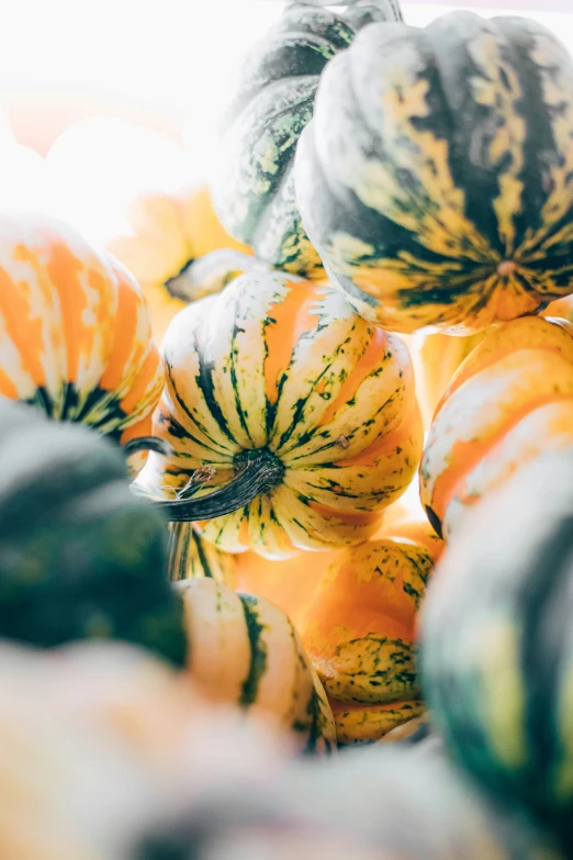 a bunch of colorful squash in a large pile