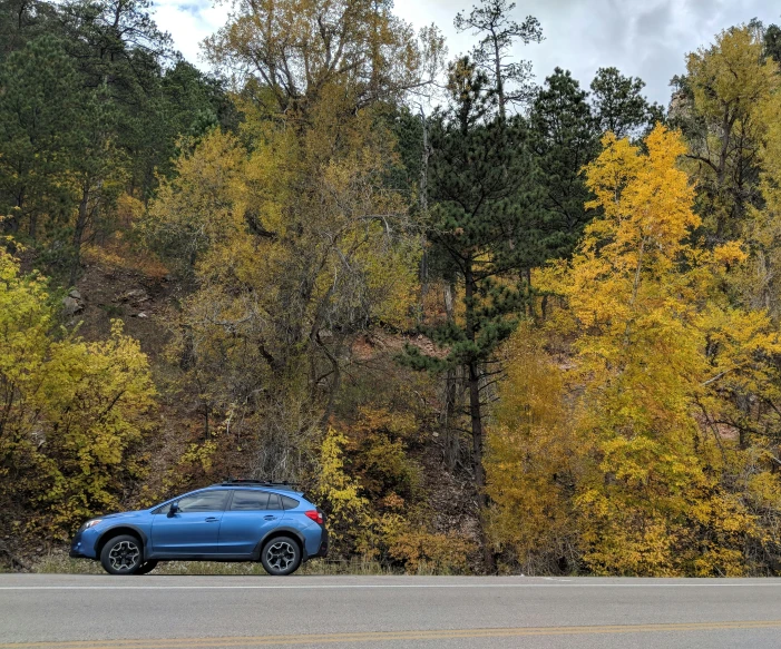 the blue suv is parked in front of trees