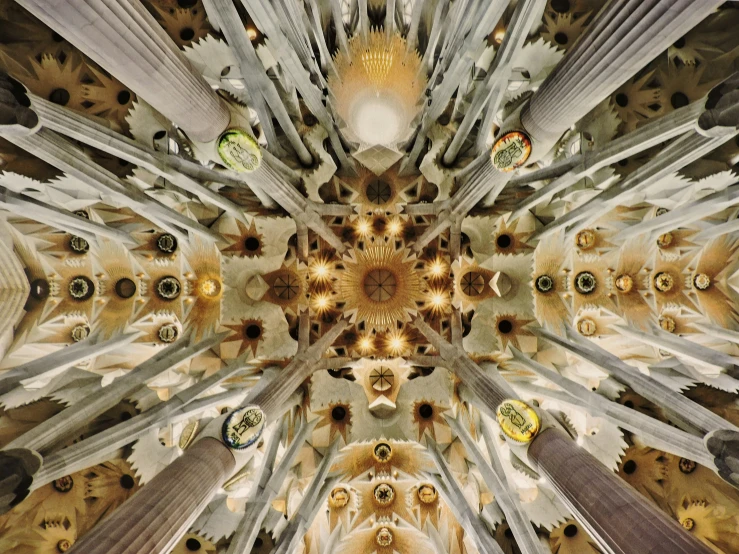 the ceiling in this cathedral is made up of ornate pillars