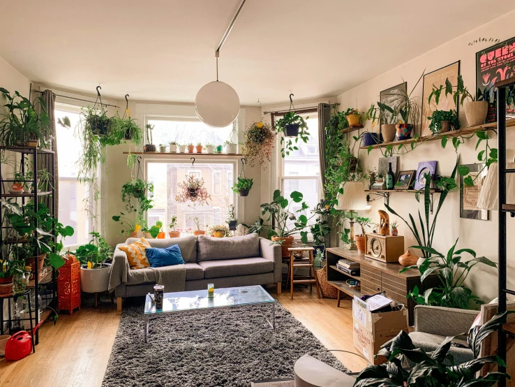 there is a living room with a lot of plants on the shelves