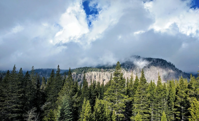 clouds over a mountain above a forest with trees