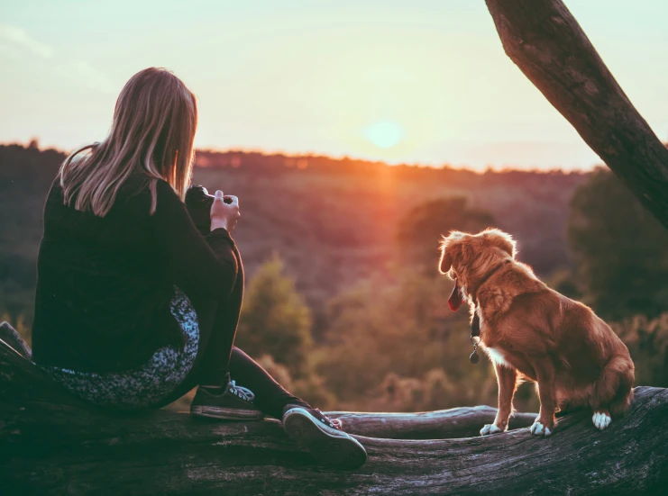 a dog is sitting in the grass near a woman on a hill