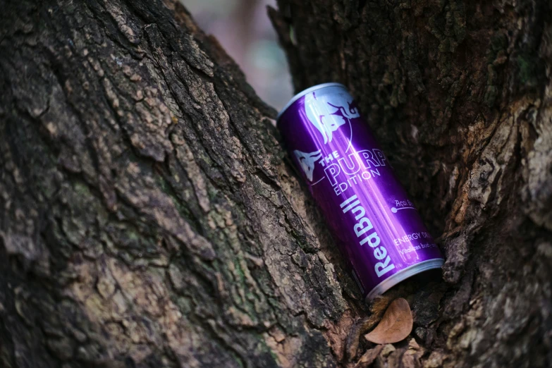 a can of beer that is placed up in a tree