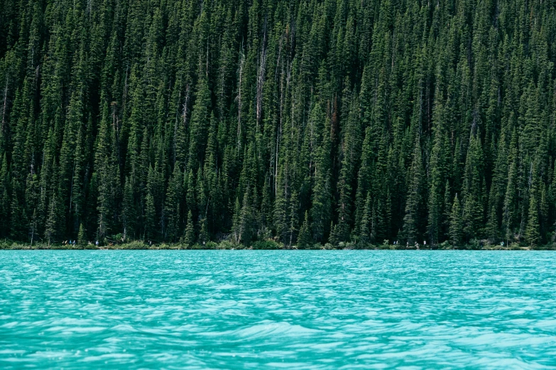 blue water near an area with trees in the background