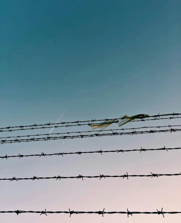 barbed wire stretches across the sky with several items on top of it