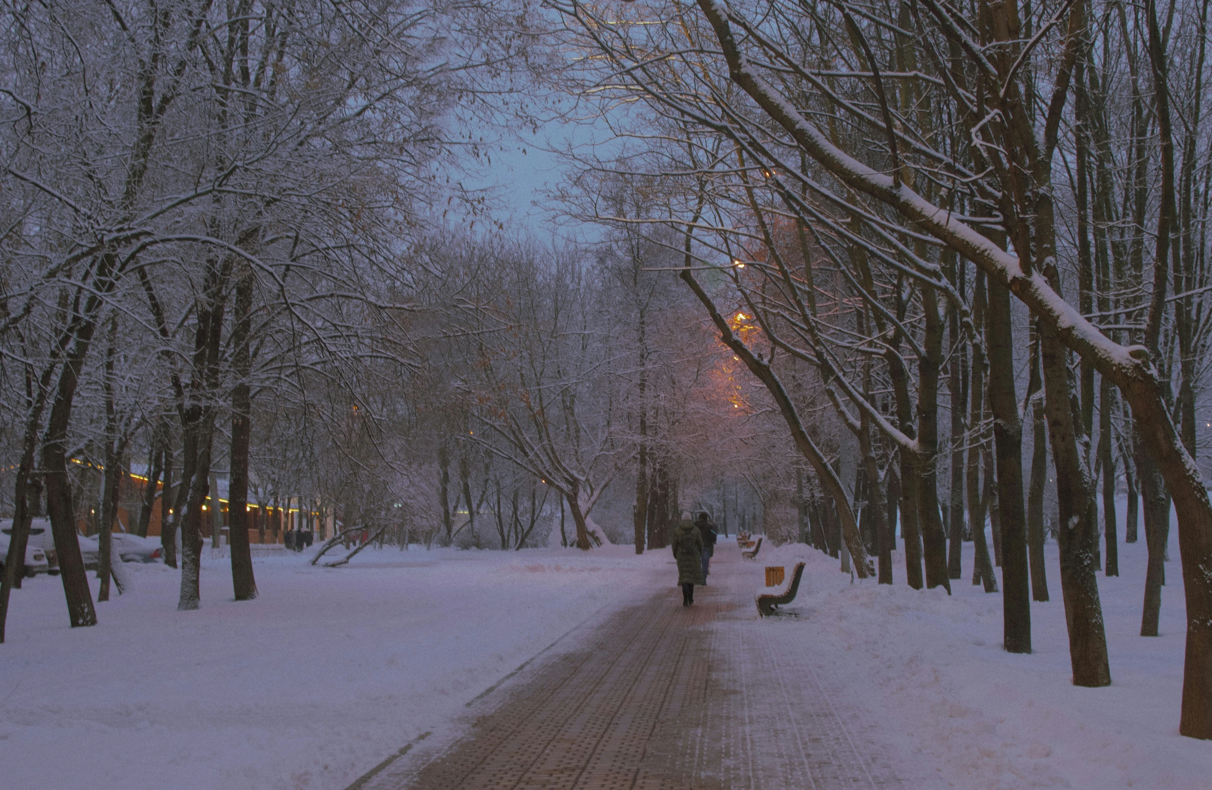 a man walking in a snow covered street next to trees