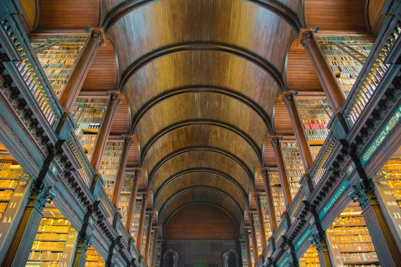 the liry is filled with books and columns