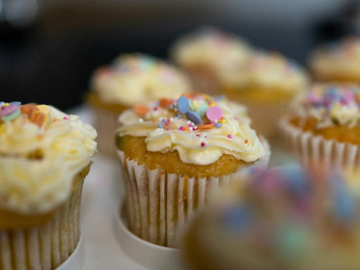 small vanilla cupcakes with sprinkles and frosting