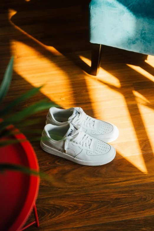 a white shoe sits on a wooden floor