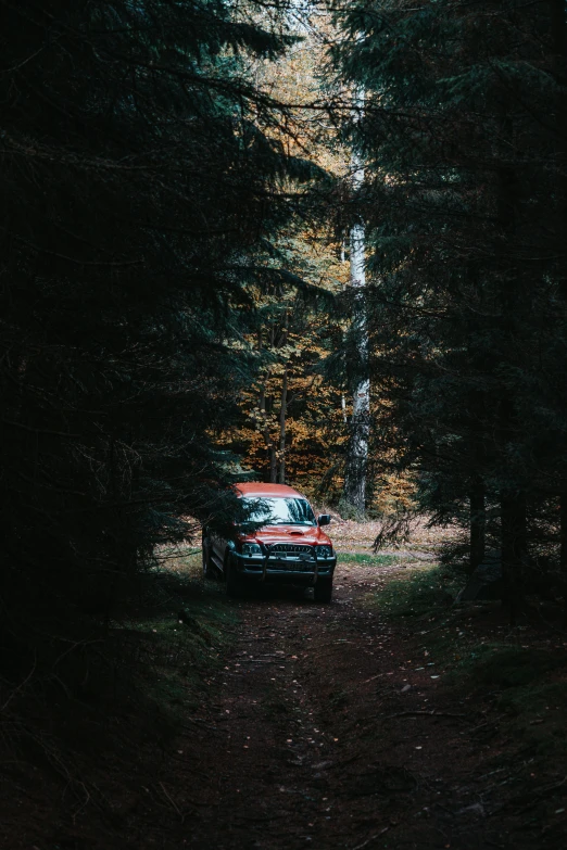 a truck parked in a forest near a tree