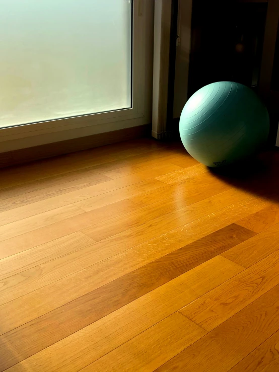 an exercise ball sits on a wooden floor