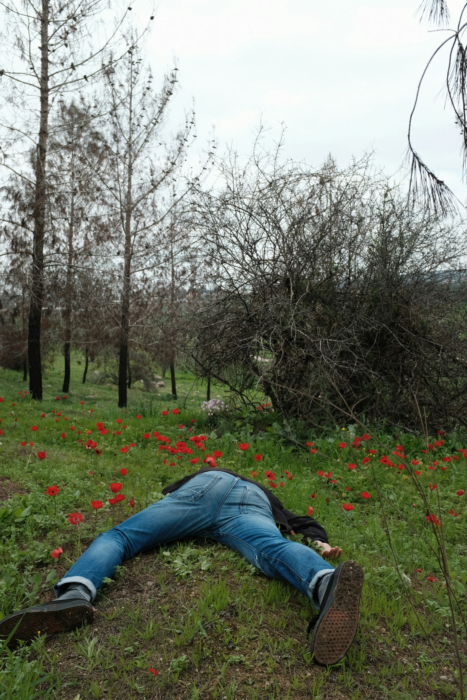 a man wearing blue jeans lays down in a field of flowers