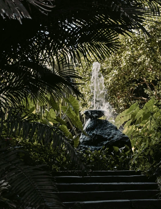 an outside scene with stairs and a large outdoor fountain