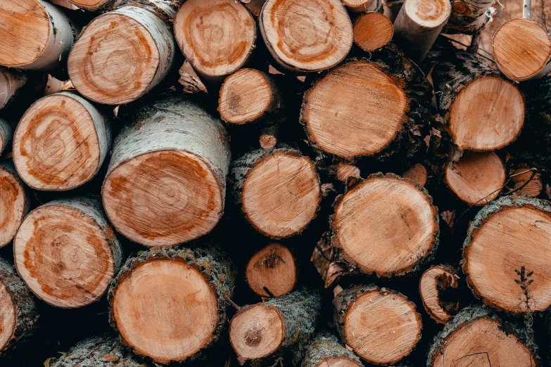 wood is stacked up together with some trees nearby