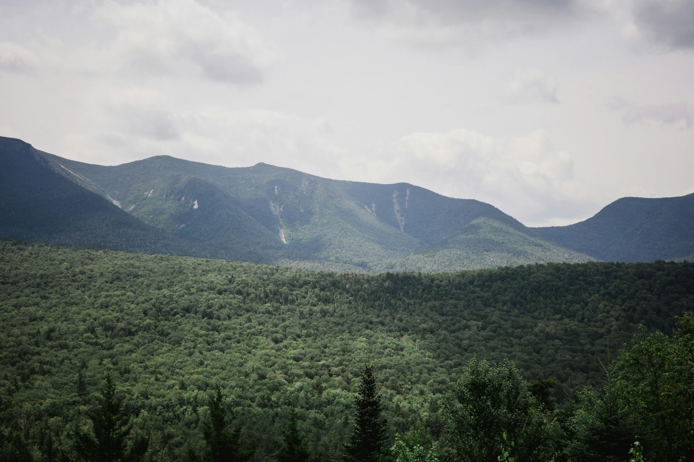 there is a large mountain range that has lush trees