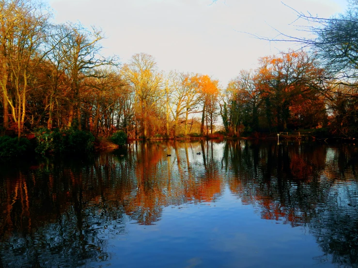 a view of the water that has some trees in it