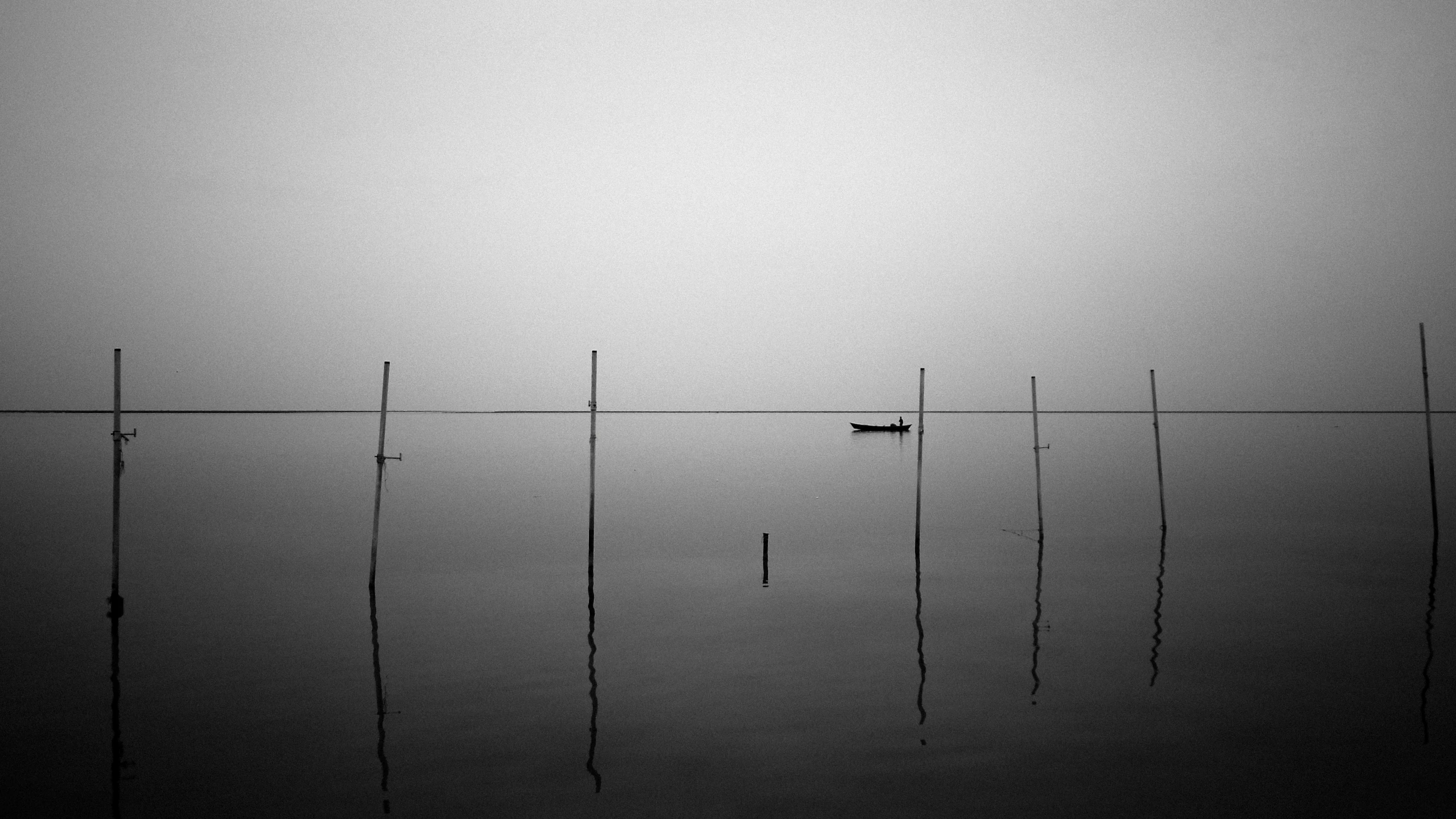 a lone bird perched on top of a pole in the fog