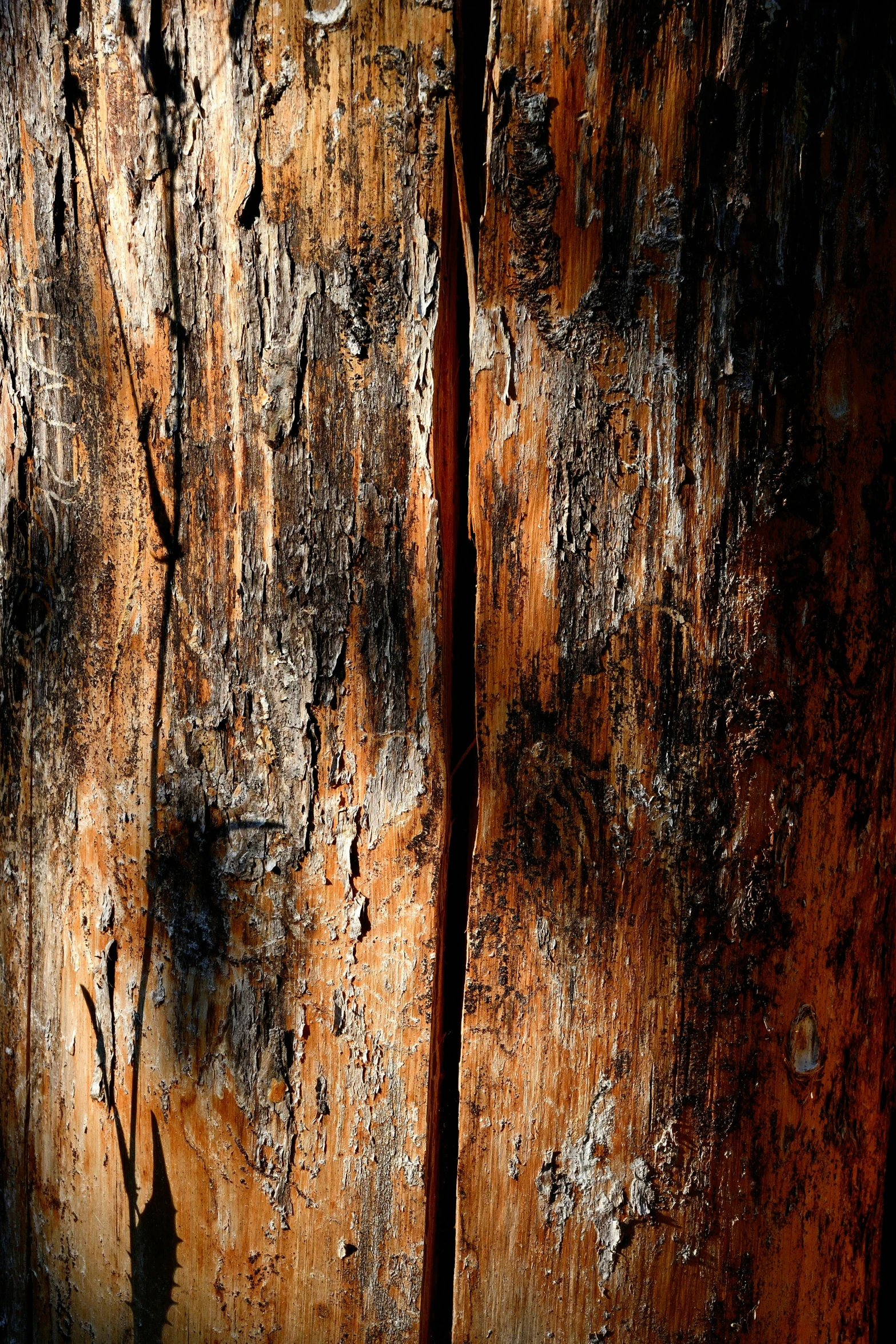 an abstract image of rusted wood with the shadow of a person on it