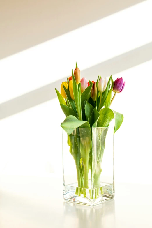 flowers in a clear glass on a table