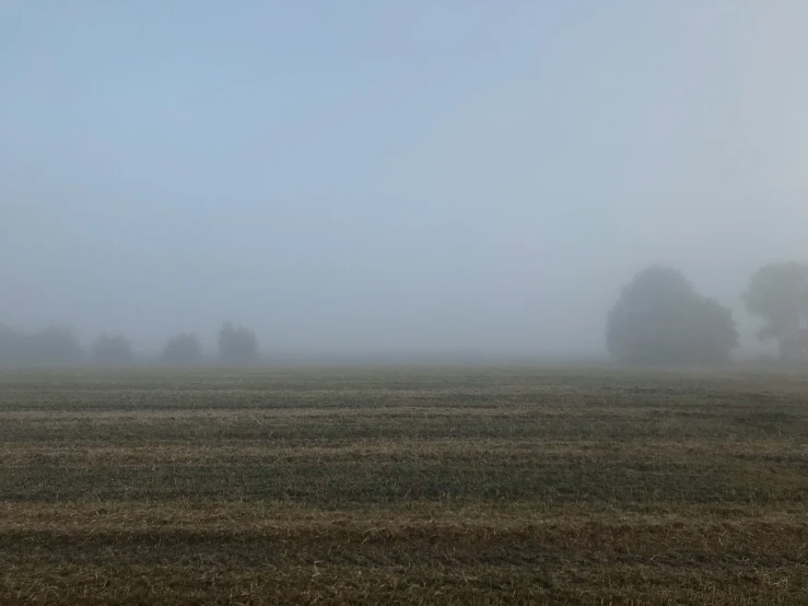 a foggy landscape with a field in front of a group of trees