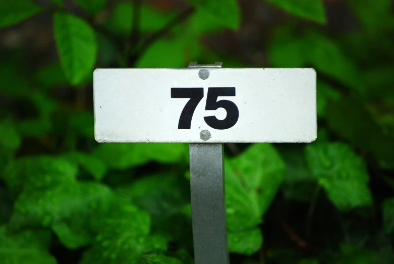 this is the number 75 on a street sign in front of some trees
