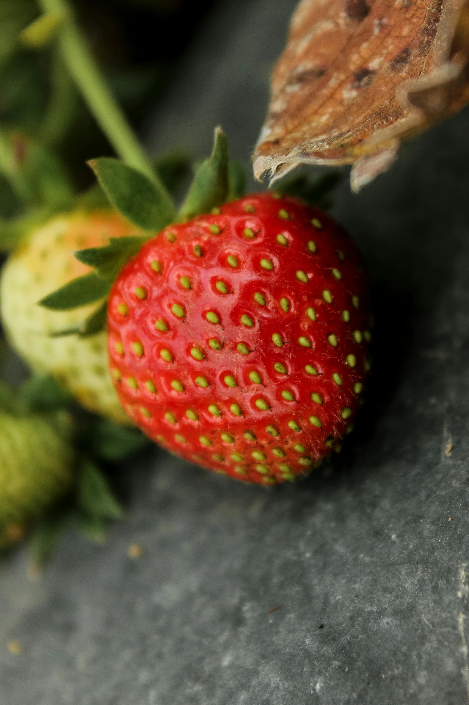 there is a close up po of the strawberries