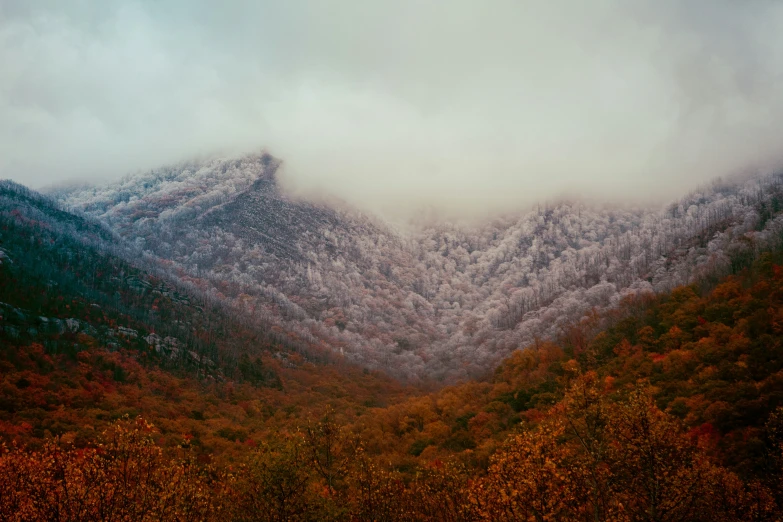 the mountains are covered in mist and snow