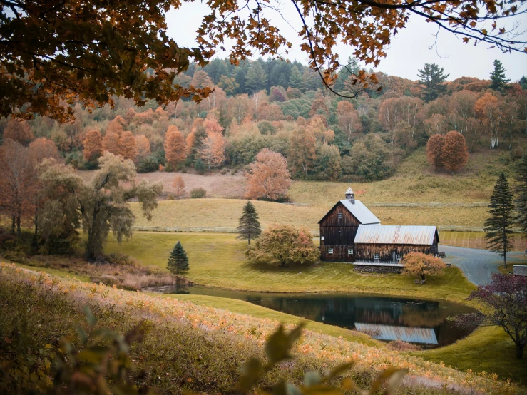 the home in the country has an interesting fall color