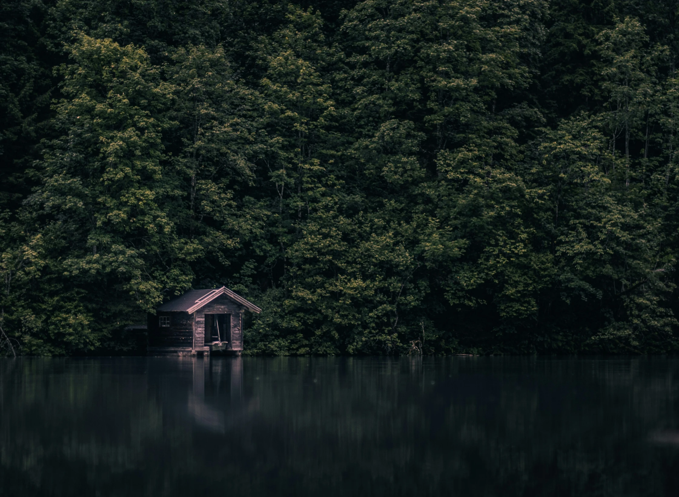 there is a boat house on the water surrounded by tall trees