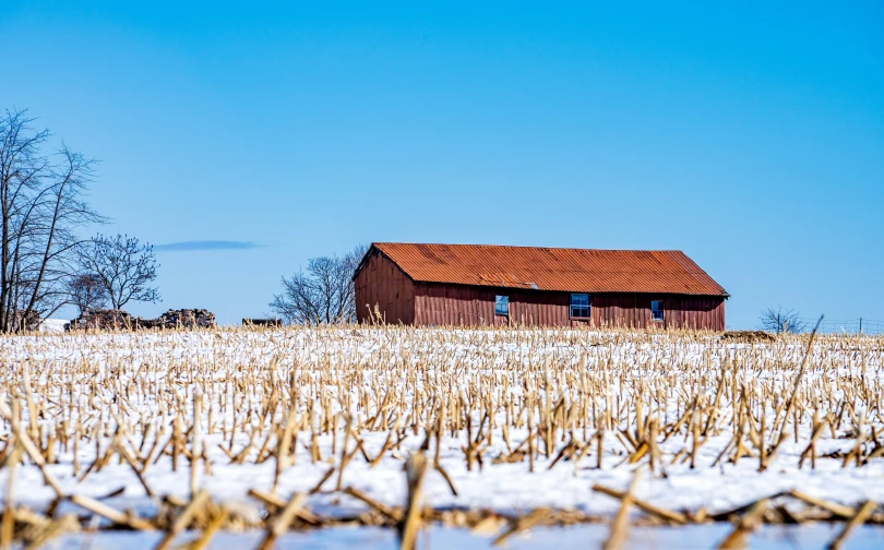 a red roofed barn is standing on top of a grassy field