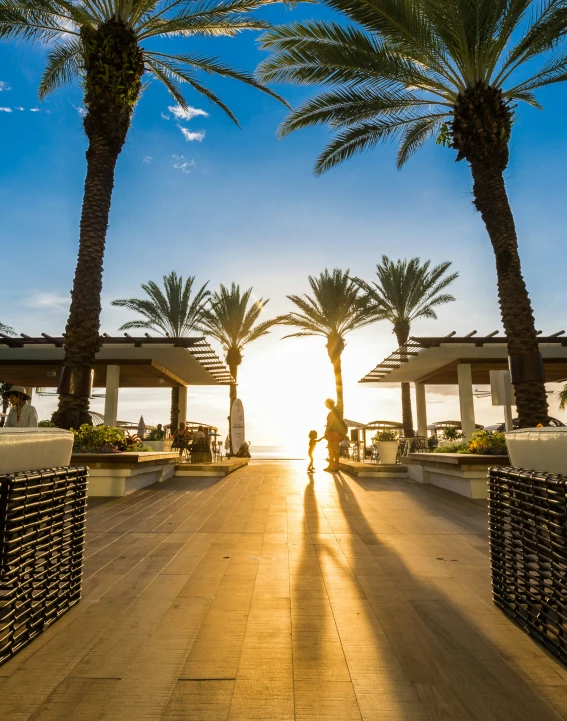 the person stands on a brick walkway surrounded by palm trees