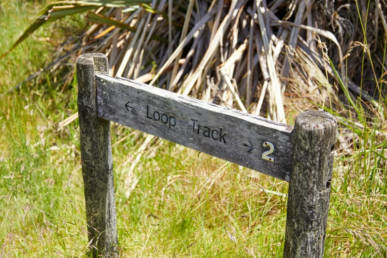 wooden post with sign indicating the location of a park