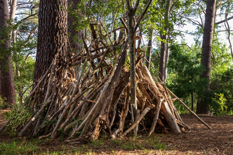 a large twig hut sitting in the woods