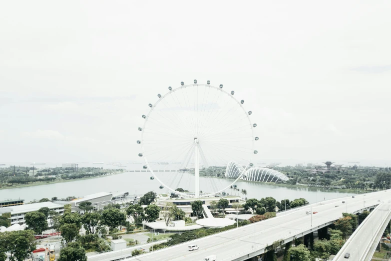 a big ferris wheel sits above the highway