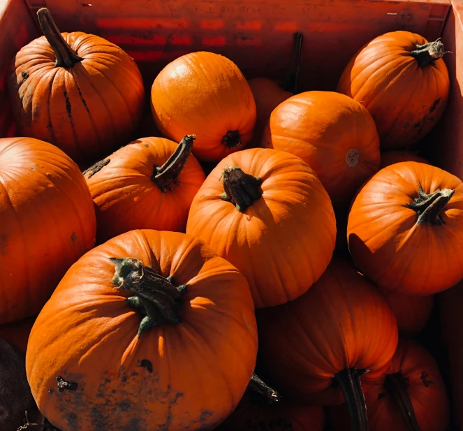 a box filled with orange pumpkins on a table